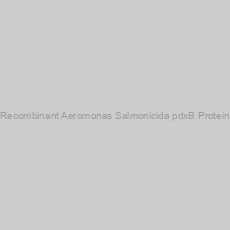 Image of Recombinant Aeromonas Salmonicida pdxB Protein